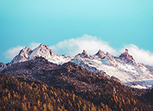 大发官方：让信任成为平台的底色